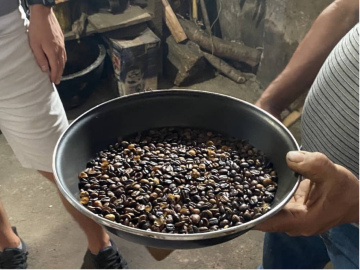 Aprendendo o processo do grão de café para passar do feijão à cerveja
        